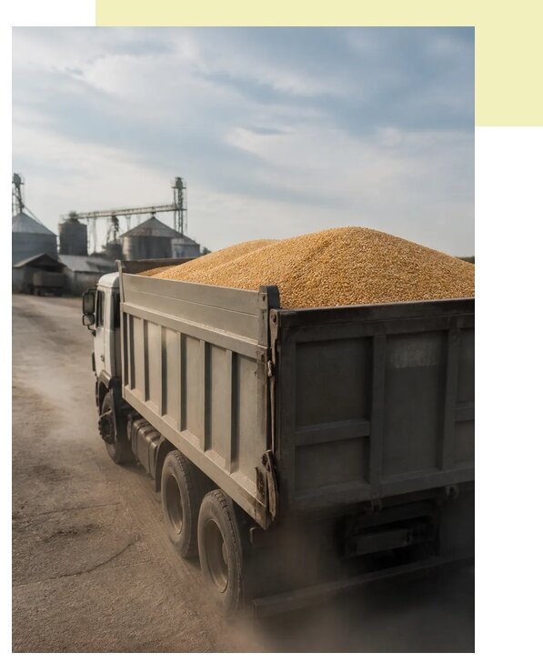 Перевозка сельхозпродукции навалом в Сыктывкар по цене от 3093 р. | Агросервис-Скт